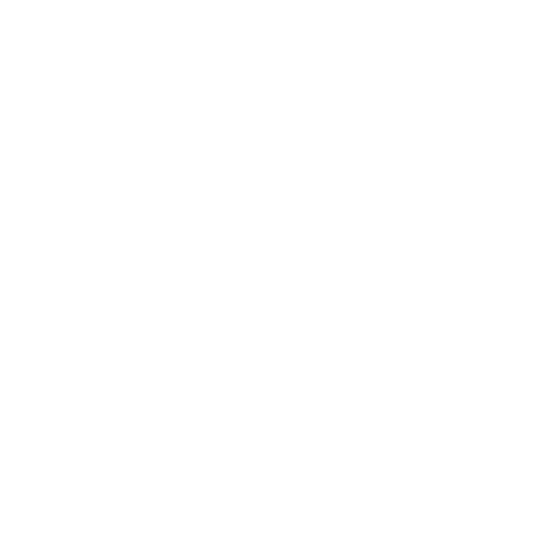 TikTok Marketing Partner